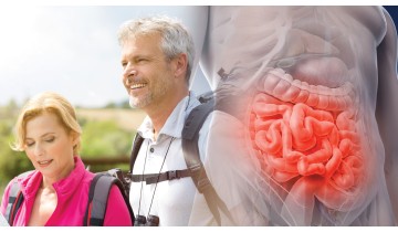 Bridging the Fiber Gap